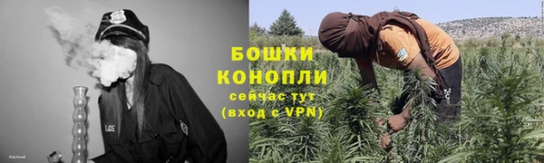 твердый Бронницы