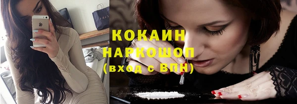 мяу мяу мука Бородино