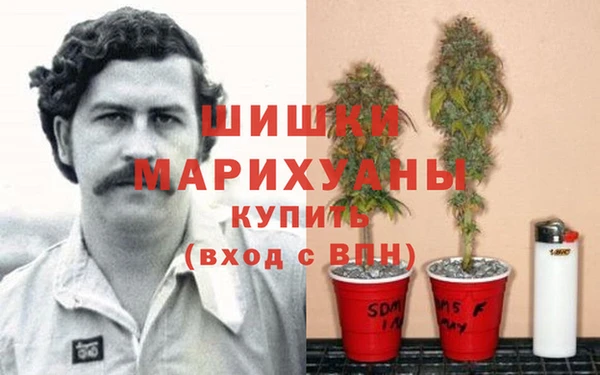твердый Бронницы
