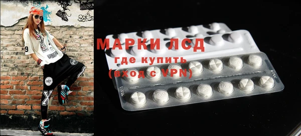 мяу мяу мука Бородино