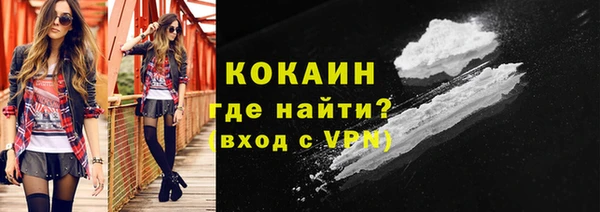 мяу мяу мука Бородино