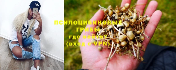 Альфа ПВП Бугульма