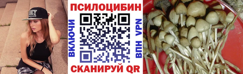 Псилоцибиновые грибы GOLDEN TEACHER  сколько стоит  hydra зеркало  Минусинск 